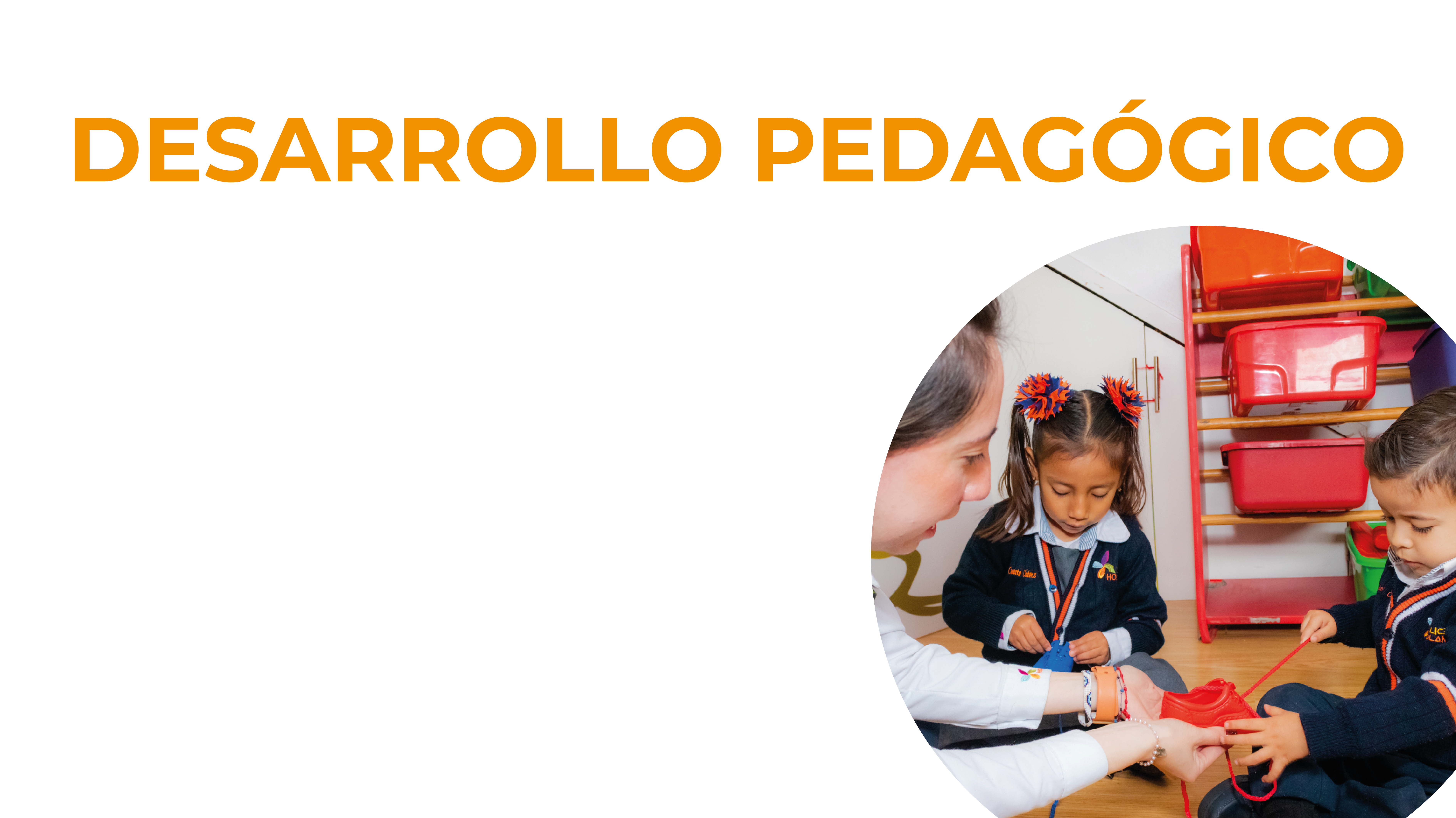 Desarrollo Pedagógico