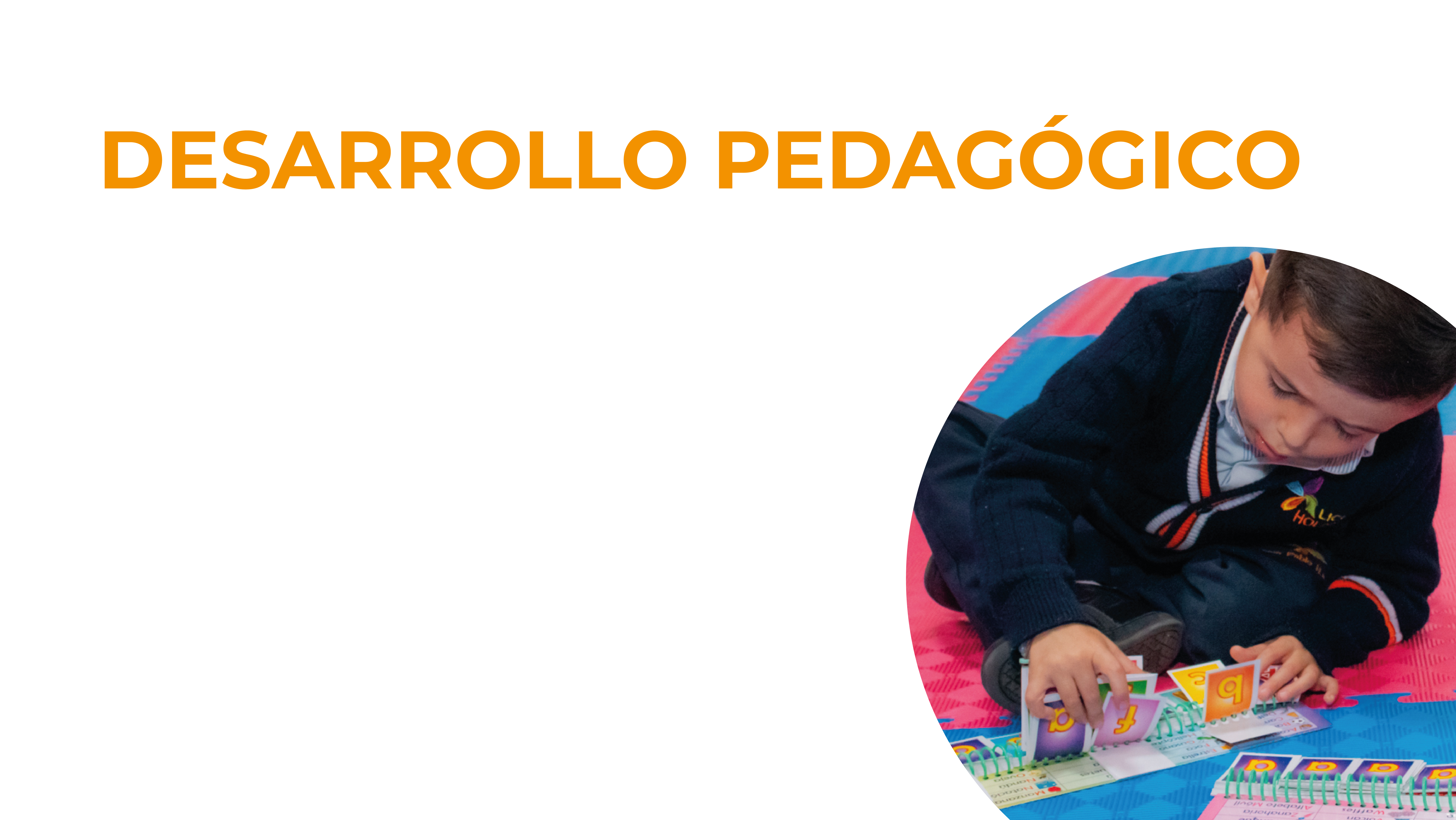 Desarrollo Pedagógico